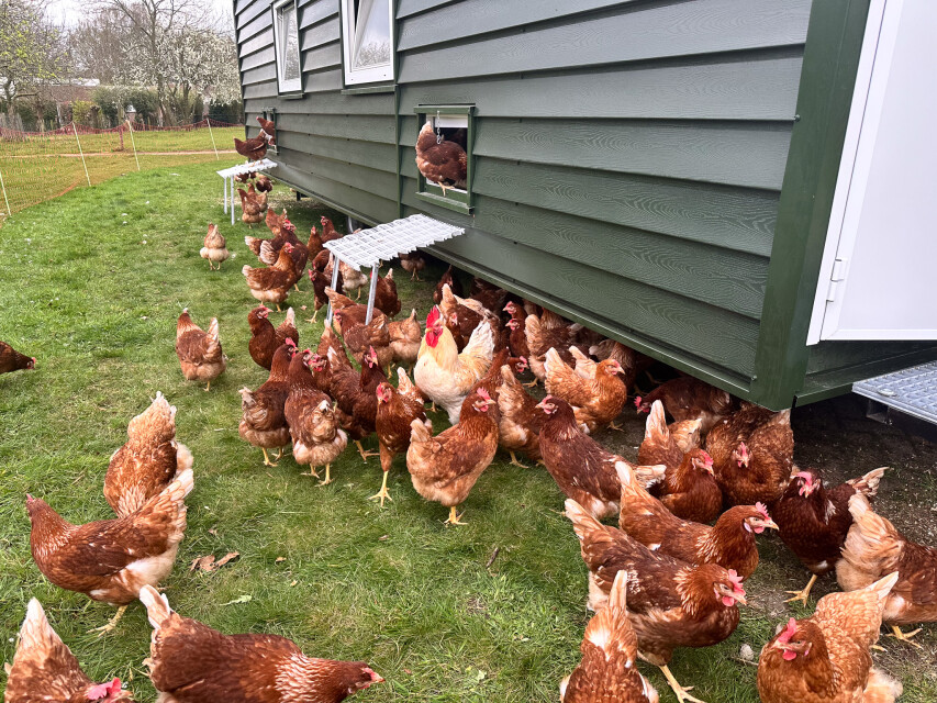 Bijzondere ervaringen op educatieboerderij Landpark Assisië